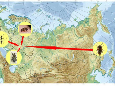 Мордовский заповедник участвует в национальной премии «Хрустальный компас» в номинации «Научное достижение»