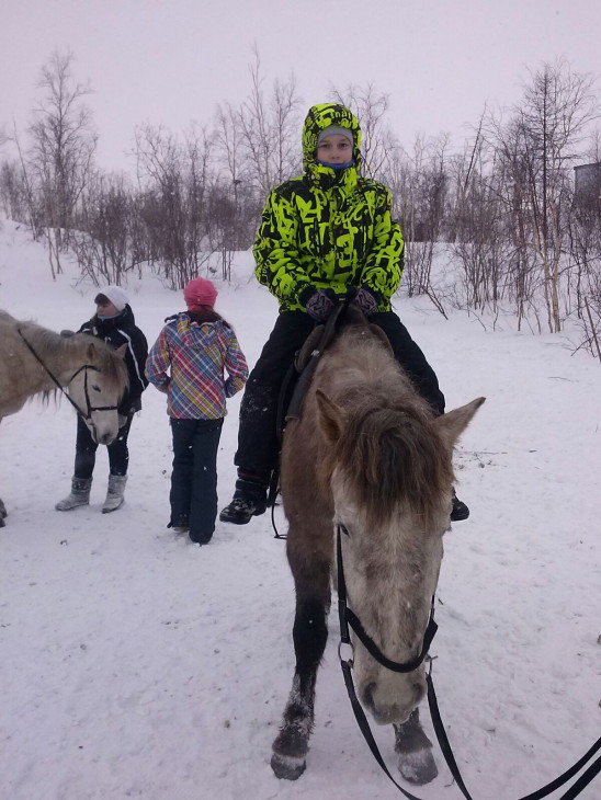 В экологической гостиной Заповедников Таймыра обсудили тему табунного коневодства на полуострове Таймыр