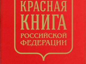 НОВАЯ КРАСНАЯ КНИГА