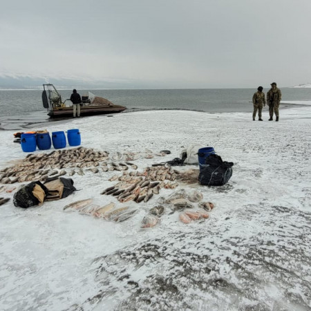 БРАКОНЬЕРЫ В ПУТОРАНАХ