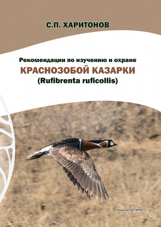 Рекомендации по изучению и охране краснозобой казарки (Rufi brenta rufi collis)