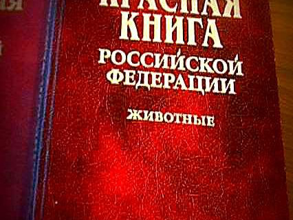 Обновленная Красная книга Российской Федерации будет издана в 2015 году