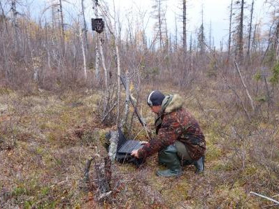 В заповедники Таймыра поступили долгожданные фотоловушки