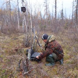 В заповедники Таймыра поступили долгожданные фотоловушки