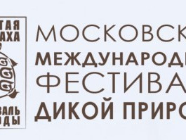 Минприроды России информирует о приеме работ на 10-ый юбилейный фестиваль искусств о дикой природе «Золотая Черепаха»