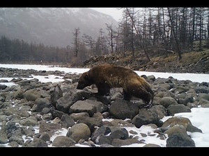 КАЖДЫЙ ФОТООХОТНИК ЖЕЛАЕТ ЗНАТЬ… (25. 06.16)