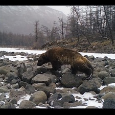 КАЖДЫЙ ФОТООХОТНИК ЖЕЛАЕТ ЗНАТЬ… (25. 06.16)