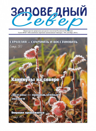 Каникулы на севере