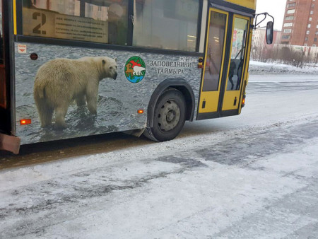 НА МАРШРУТЕ ГОРОДСКОМ…