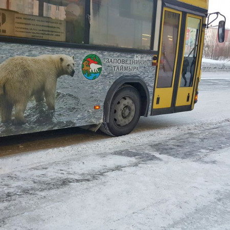 НА МАРШРУТЕ ГОРОДСКОМ…