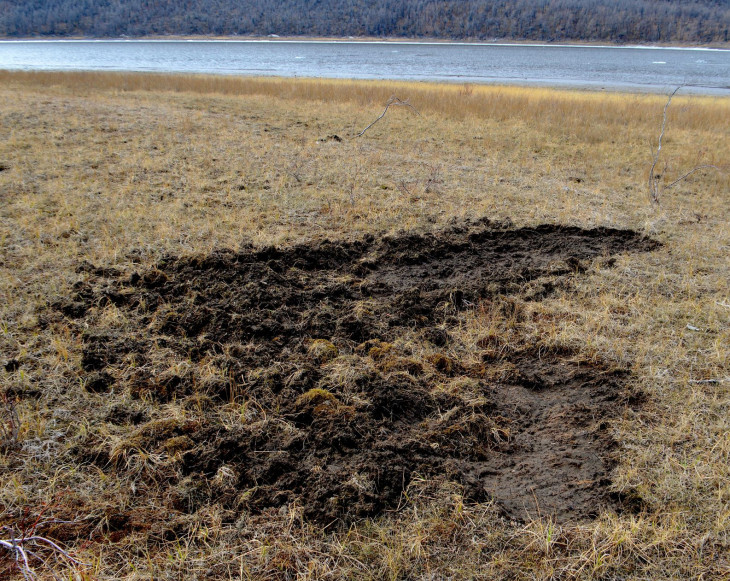 место падения гагар-2