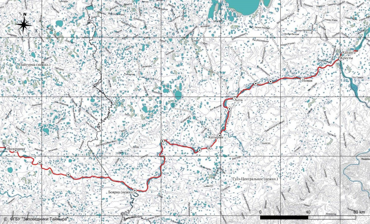 Район проведения полевых работ по изучению диких северных оленей таймырской популяции и установке спутниковых ошейников в 2020 году красной линией обозначен маршрут