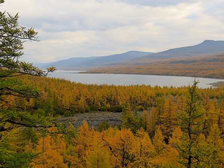 ПУТОРАНЫ НА СВЯЗИ. ОСЕНЬ НА АЯНЕ