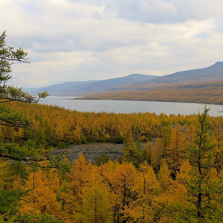 ПУТОРАНЫ НА СВЯЗИ. ОСЕНЬ НА АЯНЕ